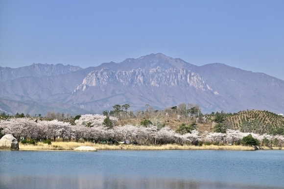 설악산 자료사진. 서울신문 DB