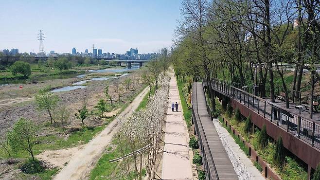 이팝나무 길 5월 개화시 예상 모습 [송파구 제공. 재판매 및 DB 금지]