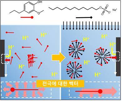 전극에 대한 방향 배열 모식도 [KIST 제공. 재판매 및 DB 금지]