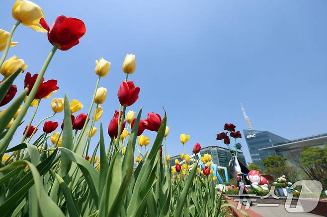 공원에 튤립이 피어 있다. (자료사진) ⓒ News1 황기선 기자