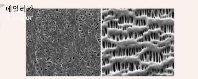 전자현미경으로 본 습식분리막(좌)과 건식분리막(우) (삼성SDI 제공)