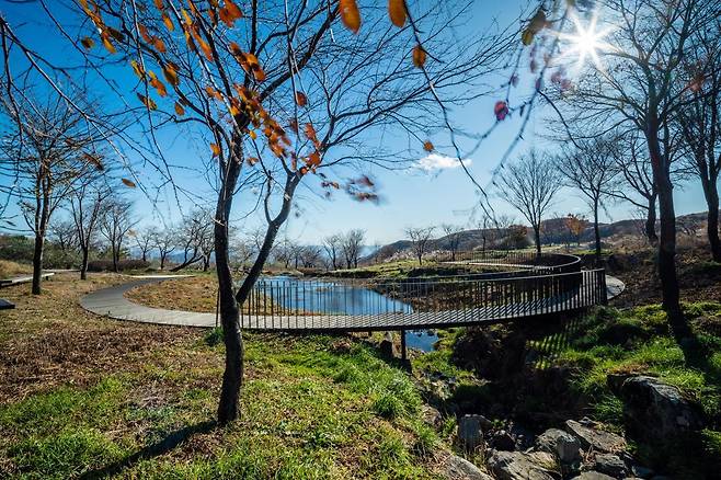 황매산군립공원 황매정원. ⓒ유청오 조경사진가