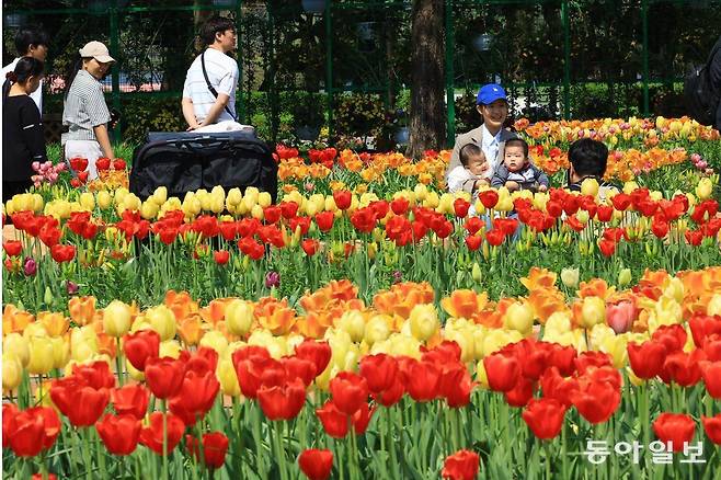 올해로 제17회를 맞은 2025 고양국제꽃박람회는&nbsp;25일부터 5월 11일까지 ‘꽃, 상상 그리고 향기’를 주제로 경기 고양시&nbsp;일산호수공원 일원에서 개최된다.고양=전영한 기자 scoopjyh@donga.com
