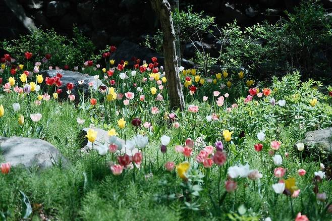 신구대학교 식물원 근황