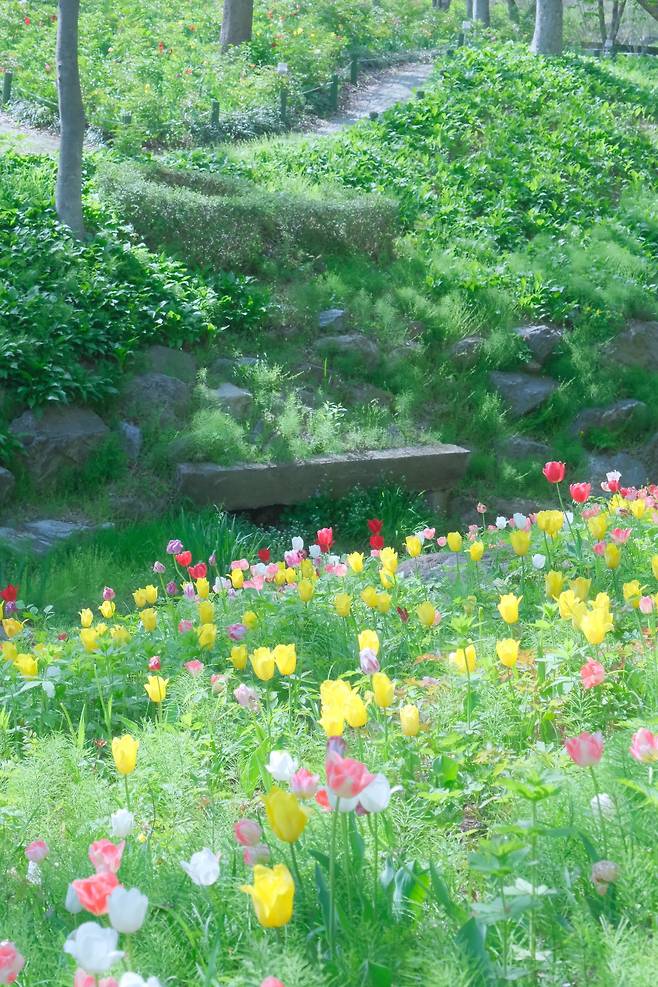 신구대학교 식물원 근황
