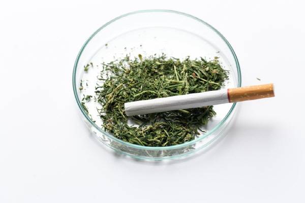 사진=게티이미지뱅크