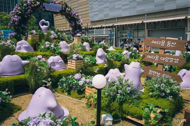 ▲ 여자친구 사진 찍어주기 참 좋겠죠?