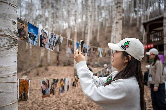 한 참가자가 남편과의 추억이 담긴 사진을 카메라에 담고 있다. 주최 측은 레크리에이션이 열린 자작나무숲 숲속놀이터에 참가자들이 제출한 커플 사진을 인화해서 걸어뒀다. [사진 유한킴벌리]