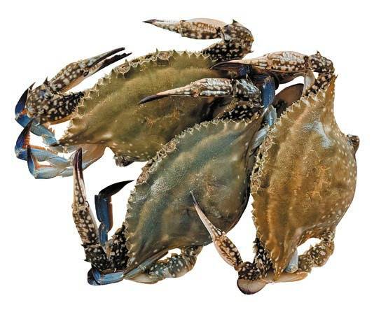 출처: GettyImagesBank