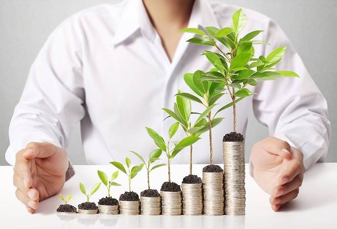 [사진 = 픽사베이]