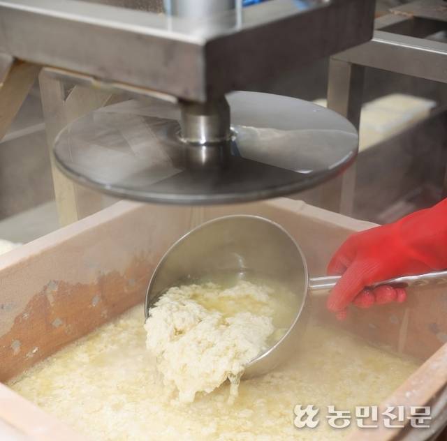가마솥에서 만든 몽글몽글한 순두부를 나무틀에 넣는다. 김천=김원철 프리랜서 기자