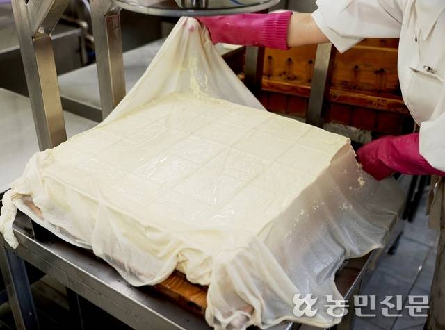 두부가 네모반듯한 모양으로 완성됐다. 김천=김원철 프리랜서 기자