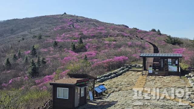 ▲2024년 4월 23일 지리산 노고단 탐방로.ⓒ지리산국립공원