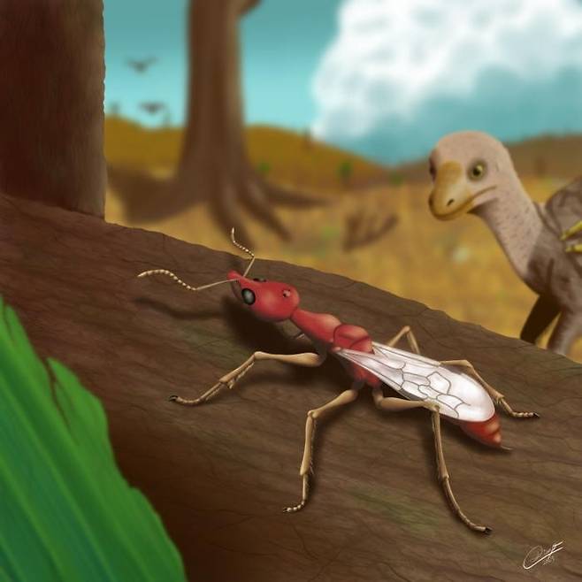 브라질에서 새로 발견된 지옥개미 복원도 미얀마 호박에서 발견된 개미 화석과 가까운 친척 종을 바탕으로 브라질에서 새로 발견된 지옥개미 종을 고생물학적으로 복원한 모습. [Diego M. Matielo 제공. 재판매 및 DB 금지]