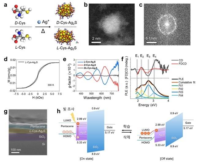 카이랄 은황화물 양자점 합성  [KAIST 제공. 재판매 및 DB 금지]