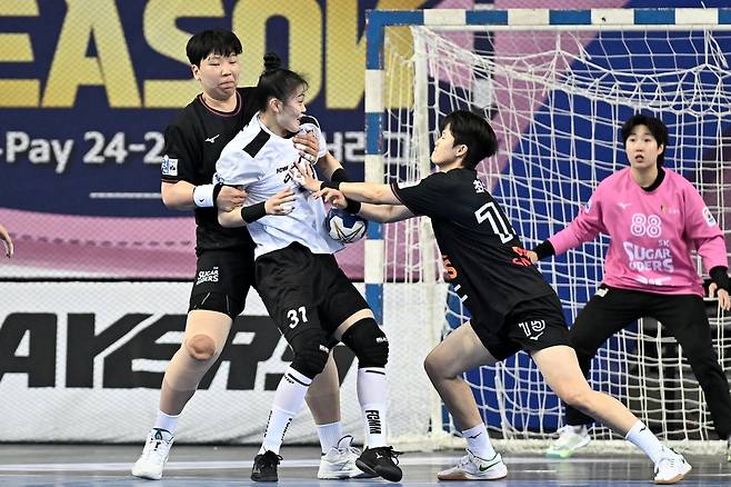 24일 열린 SK와 삼척시청의 챔피언결정전 1차전 모습.  [한국핸드볼연맹 제공. 재판매 및 DB 금지]