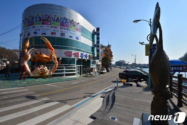 영덕 강구항 대개게리 자료사진 /뉴스1 ⓒ News1 최창호 기자