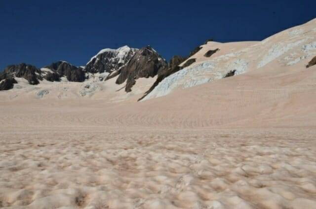 2019~2020년 여름 뉴질랜드 아오테아로아 섬의 서든알프스가 붉게 변한 모습 (사진=John Hunt, Manaaki Whenua Landcare Research)