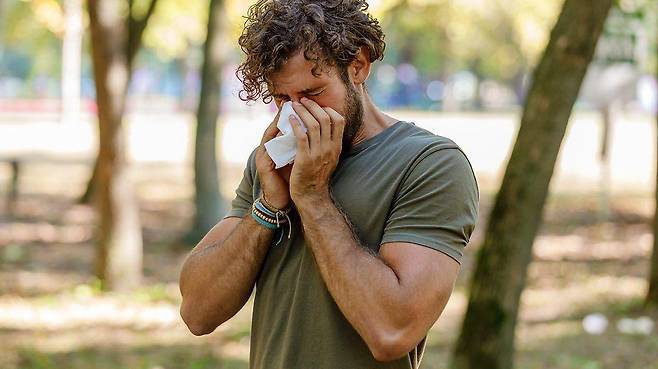 비교적 알레르기를 덜 유발하는 꽃가루를 만들어내는 식물을 심는 것도 도심의 환자들을 도울 수 있는 방법 중 하나다