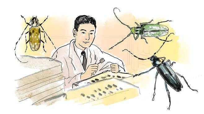 조복성은 일제 때 가장 유명한 과학자 중 하나였다. 한반도는 물론 만주, 내몽고, 화북지방까지 30여차례 채집여행을 다니며 곤충 연구의 영역을 확대했다. 광복후엔 '곤충기'를 펴내 곤충학에 대한 관심을 불러일으켰다. 곤충을 소개하는강연, 연구활동을 활발히 펼처 '한국의 파브르'란 별명까지 얻었다./일러스트=조선디자인랩 정다운