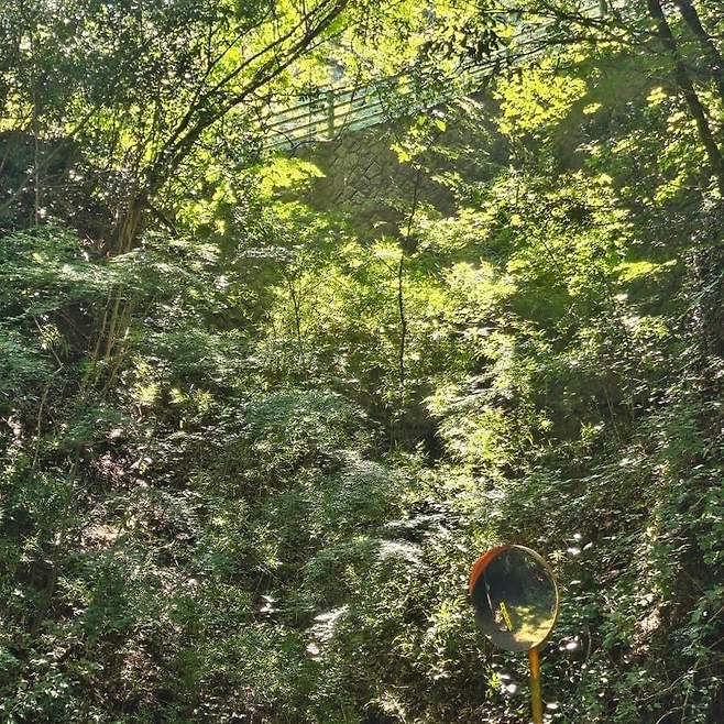 28b9d932da836ff23bec85e042827c693af98a7407a96ac4ed149112fe19dd420f9135