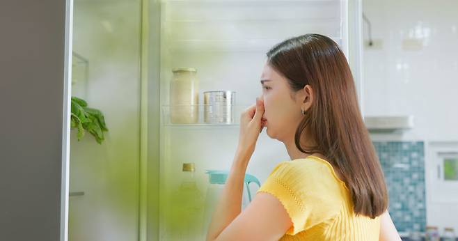 게티이미지뱅크.