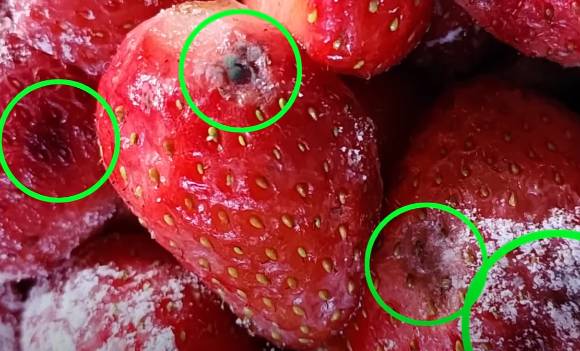 대전 대표 제과업체 성심당의 '딸기시루 케이크'에서 곰팡이가 확인돼 업체가 사과하고 판매 중단을 결정하는 일이 발생했다. 사진은 대전MBC 보도화면. [사진=대전MBC]