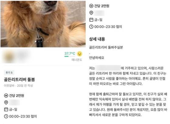 반려견 돌봄 요청 글. 해당 공고는 여러 이웃의 관심 속 인기를 끌었다. 당근