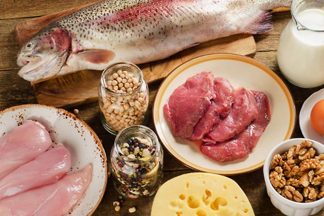 단백질 음식