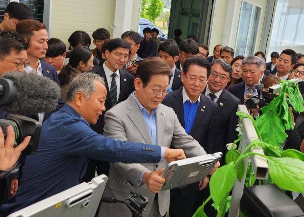 이재명 더불어민주당 대선 경선 후보가 25일 전남농업기술원 신재생에너지 활용 자립형 스마트팜 연구시설에서 김영록 전남지사와 함께 전남 스마트 농업기술 설명을 듣고 있다. <광주일보 자료사진>