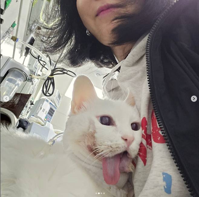 김정난 인스타그램 캡처