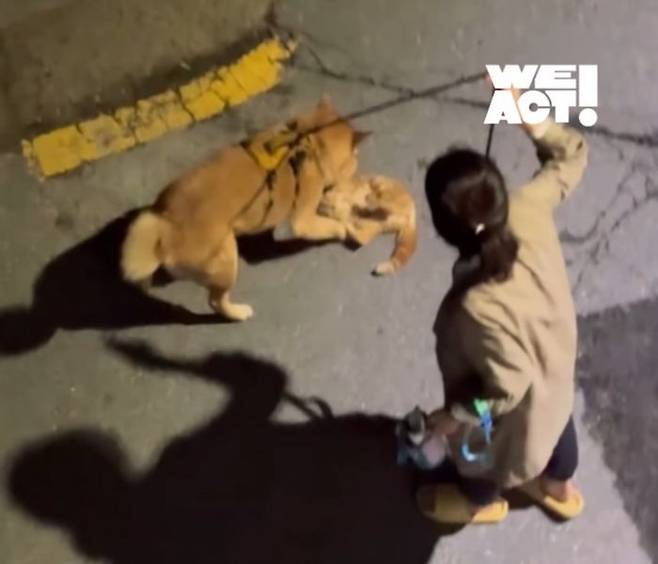 ⓒ위액트 인스타그램 갈무리