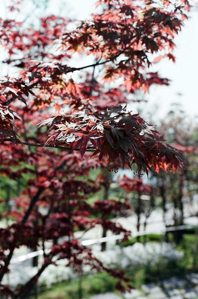 7b9ff474c0f768f0239d86e14e9c701cded6ffe0f2f7e38e9cfc68cb44d4aa7db7f466571ba05912424e7f837530a6dde7c5ff5ad8