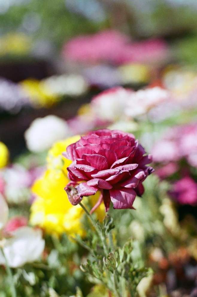 0f988976b08b1c8323e9f7ed349c706dbf389c10ac2bc11712c4db9500effefc36e08731cc8bd7c270874a01da980738cbd6c18578