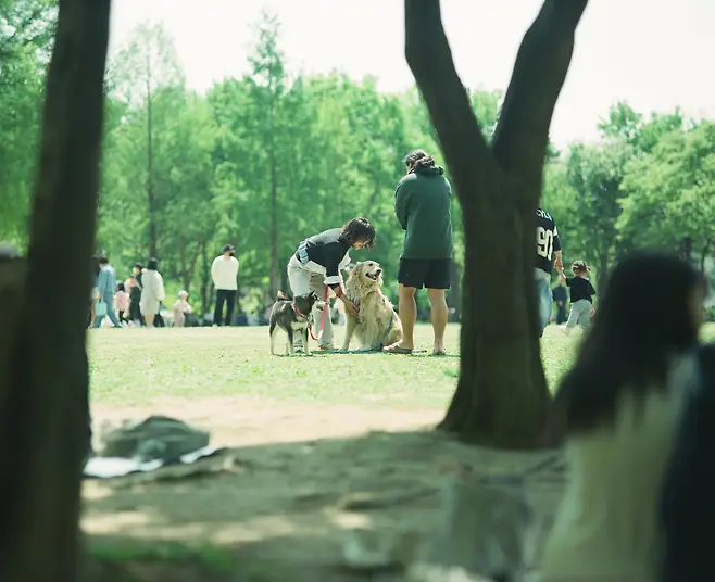 7ded8076b48b60f23eef86e258c6213f1d492af3935f24d16dab27510a22a2