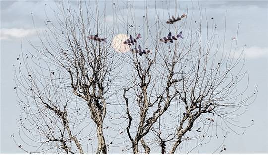 2025년 선보이는 '귀로(歸路, way back)'시리즈 세 번째 작품.