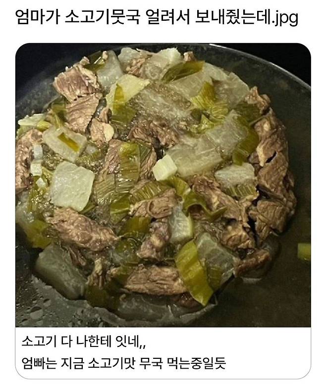 엄마가 소고기뭇국 얼려서 보내줬는데...