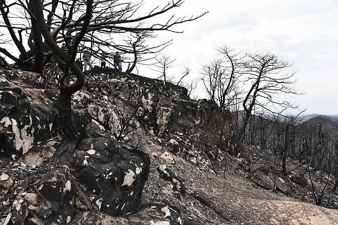 2025년 4월19일 경북 의성군 단촌면 산불 피해현장. 1천도 이상 올라간 산불로 바윗돌들이 터져 얼룩덜룩해졌다. 이석우씨 제공