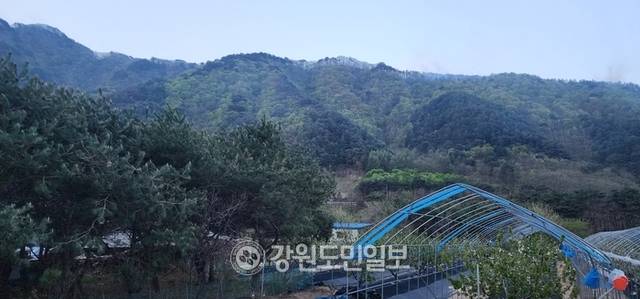 ▲ 26일 오후 인제군 상남면 하남리 인근 야산에서 발생한 산불의 진화율이 27일 오전 5시 기준 98%를 기록하고 있다.