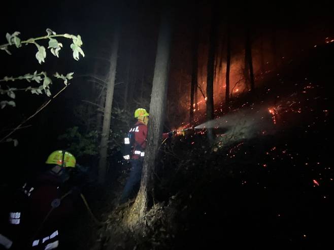 야간 산불 진화 중인 공중진화대 [산림청 제공.재판매 및 DB 금지]