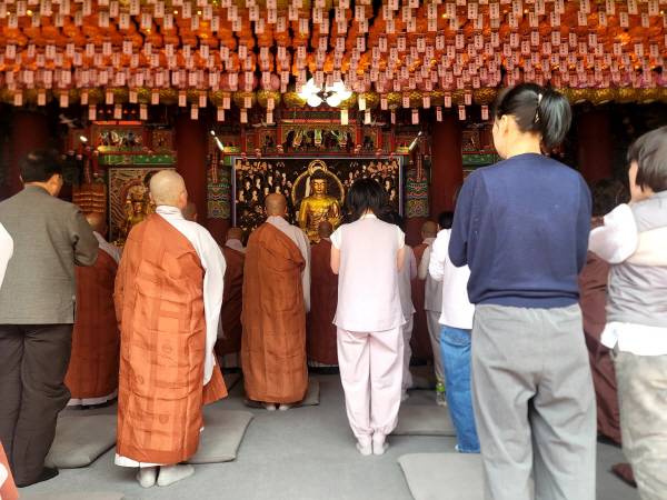 고운사 대법당 안에서 불자들이 연등 아래 고요히 합장하며 기도하는 모습. 김동현 기자 jhass80@kyongbuk.com