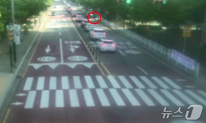 도주하는 B 군(인근 CCTV 캡쳐. 재판매 및 DB금지)