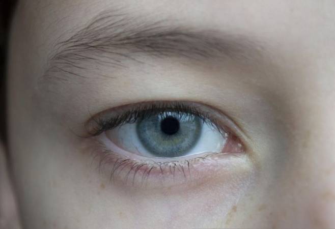 기사 중 특정 표현과 관련 없음. 픽사베이