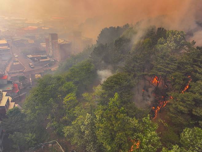 28일 오후 2시 1분께 대구 북구 노곡동 함지산에서 발생한 산불이 인근인 조야동 민가까지 확산하고 있다./연합뉴스