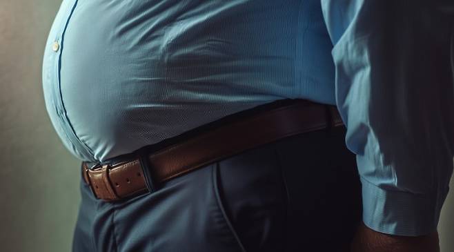 중년이 되면 뱃살이 잘 늘어나는 이유는 지방 생성을 유도하는 '지방세포 전구세포' 때문인 것으로 확인됐다. 게티이미지뱅크 제공.