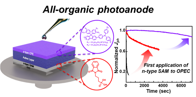 공동 연구팀이 개발한 고안정성 전유기 광전극 구조와 성능