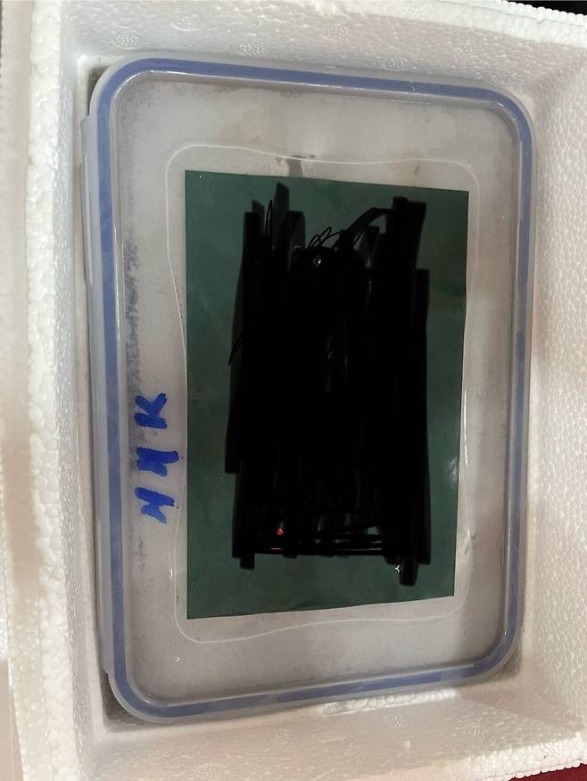 시골은 물물 교환이 활발하네