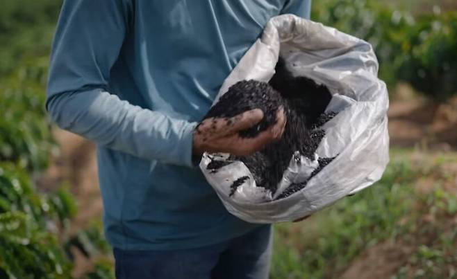 바이오차를 다시 농지에 뿌려주고 있다. 넷제로 유튜브 갈무리