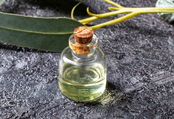 (사진은 기사와 직접적 관련 없음)/사진=게티이미지뱅크