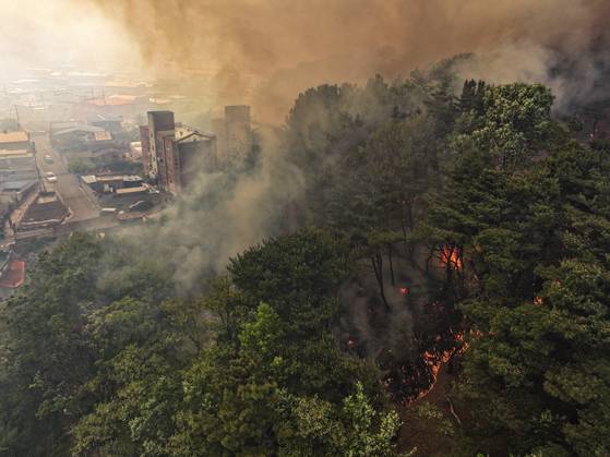28일 오후 2시 1분쯤 대구 북구 노곡동 함지산에서 발생한 산불이 인근인 조야동 민가까지 확산하고 있다. 연합뉴스